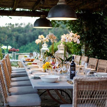 Villa Domus Francigena 卢卡 外观 照片